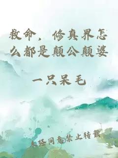 救命，修真界怎么都是顛公顛婆